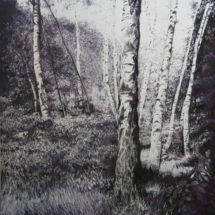 Apres Atget Birch 122 x 153 cm