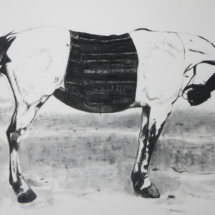 After Koudelka detail10 153 x 22 cm 2019 May