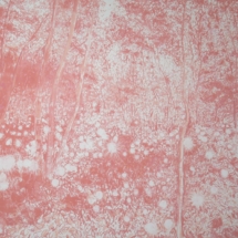 After Tokihiro Sato pink (1 of 1)