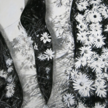 amongst the daisies, after Edwin smith charcoal and pastel on paper 152 x 104 cm