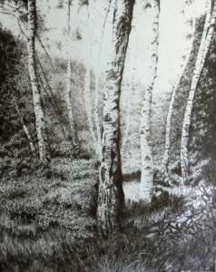 Apres Atget Birch