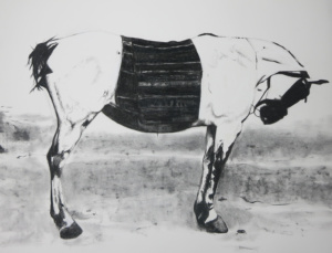 After Koudelka Horse