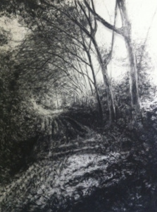 Apres Atget Parc de Seux