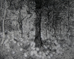 After Tokihiro Sato .Hakkoda