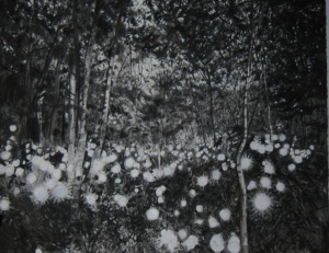 After Tokihiro Sato . Shirikami . ichi